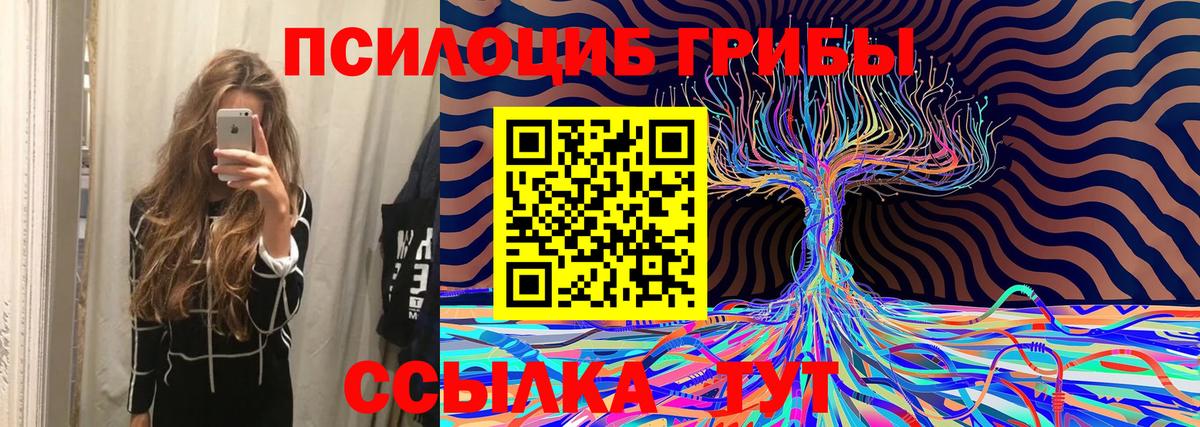 Галлюциногенные грибы Psilocybine cubensis  Вход с VPN  Азнакаево 